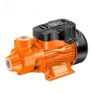 Wokin  Peripheral Pump 0.5HP